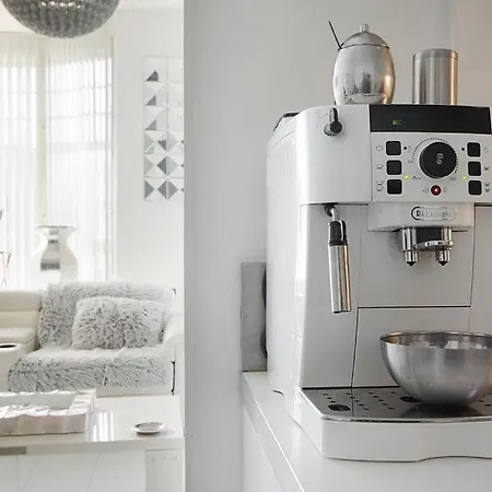 White Luxury Penthouse In Centre